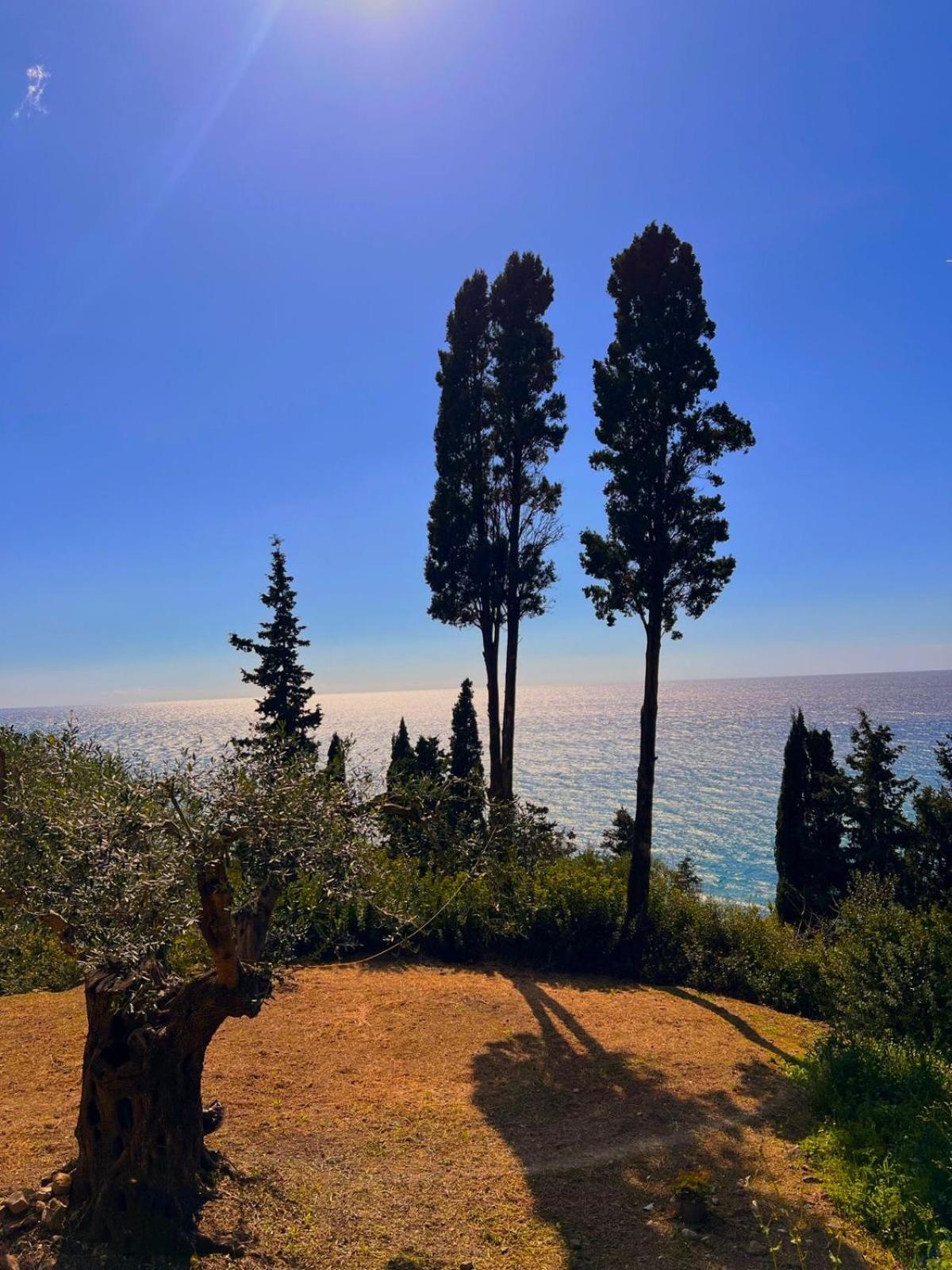 Stefanos Apartments By Sv Alians Agios Gordios  Dış mekan fotoğraf
