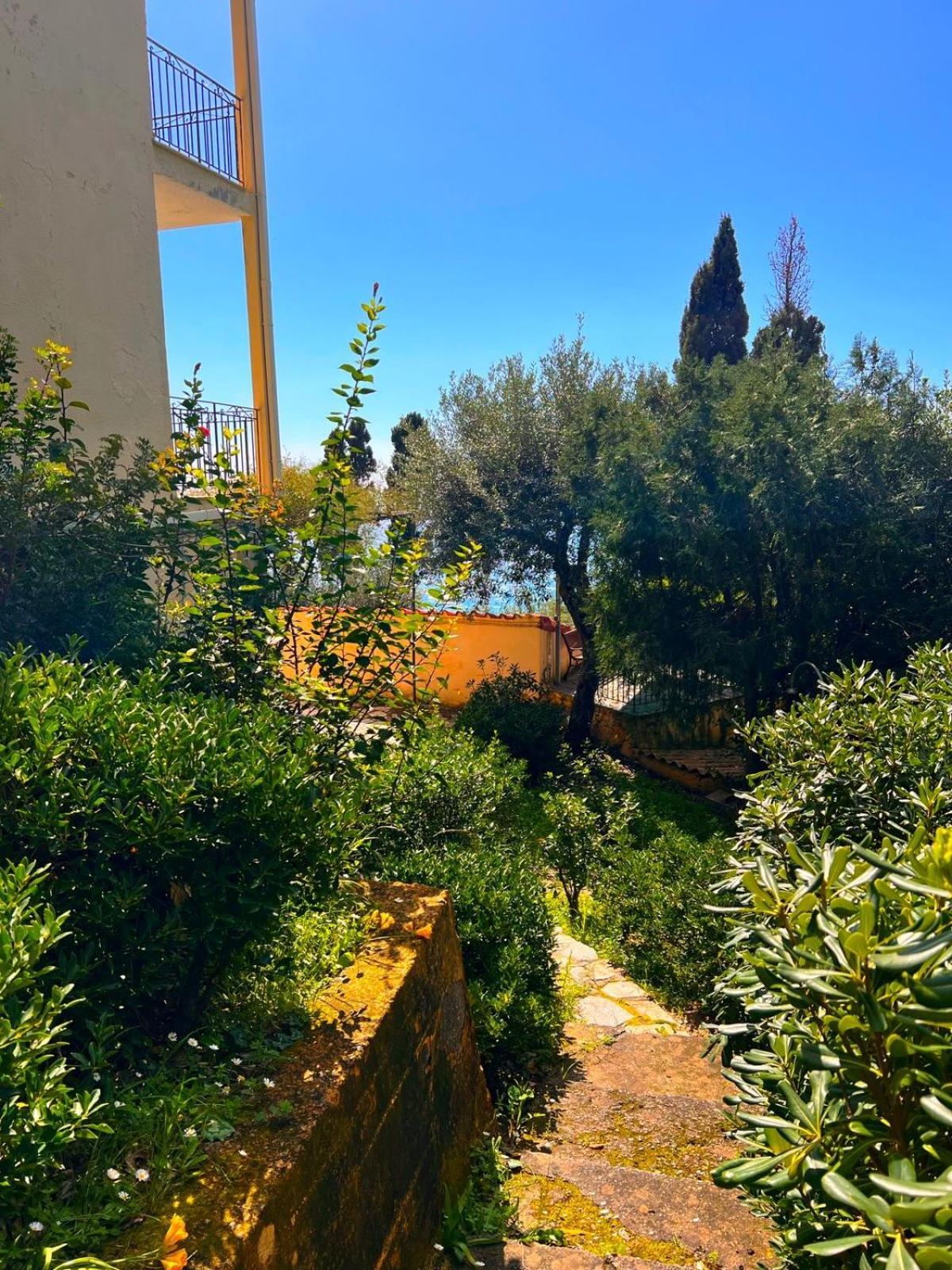 Stefanos Apartments By Sv Alians Agios Gordios  Dış mekan fotoğraf