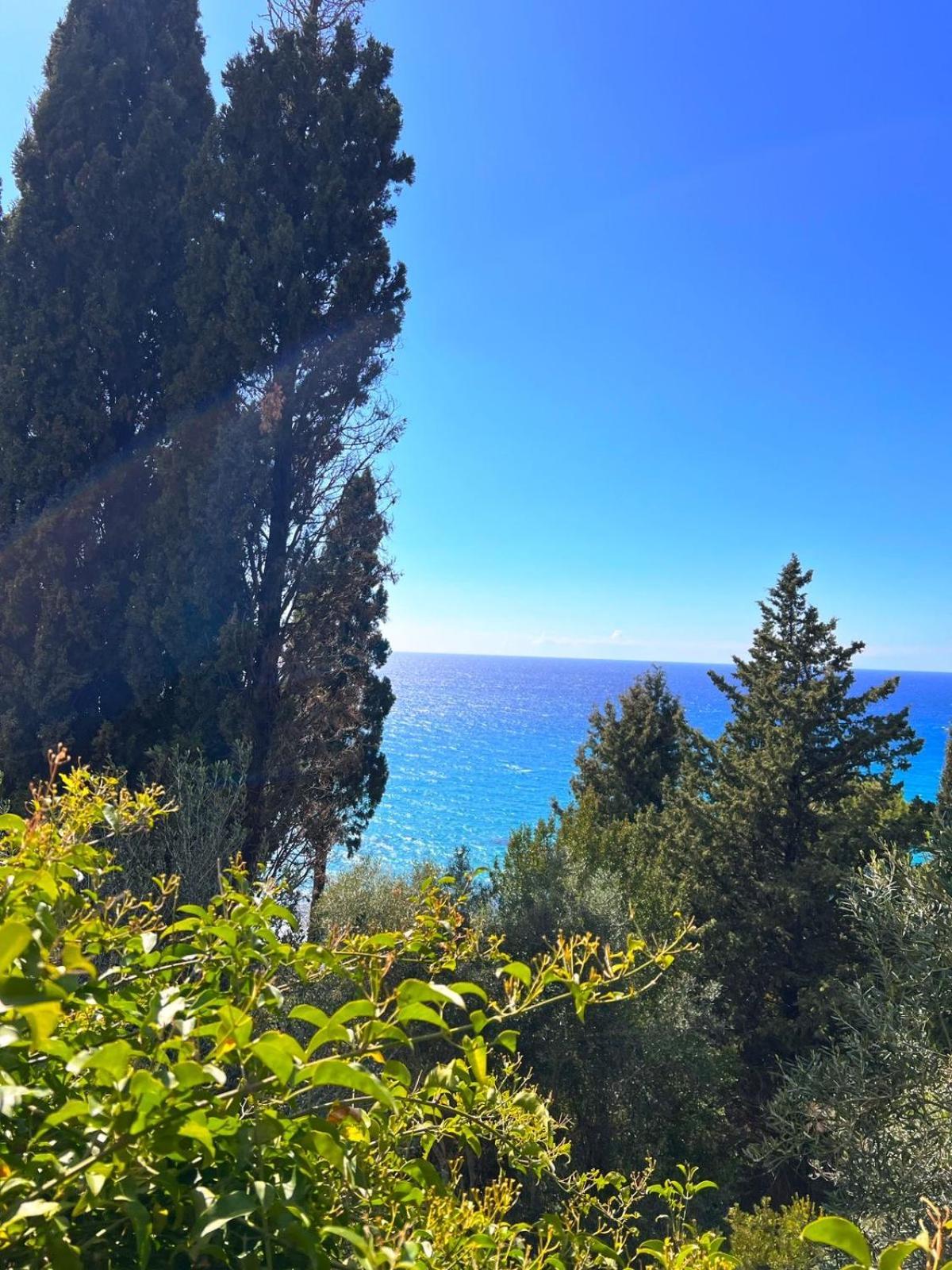 Stefanos Apartments By Sv Alians Agios Gordios  Dış mekan fotoğraf
