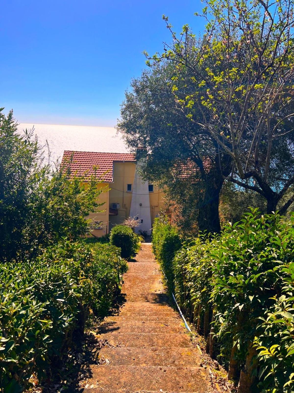 Stefanos Apartments By Sv Alians Agios Gordios  Dış mekan fotoğraf