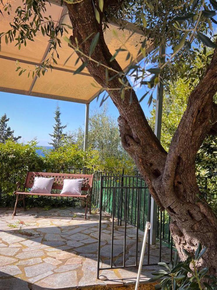 Stefanos Apartments By Sv Alians Agios Gordios  Dış mekan fotoğraf
